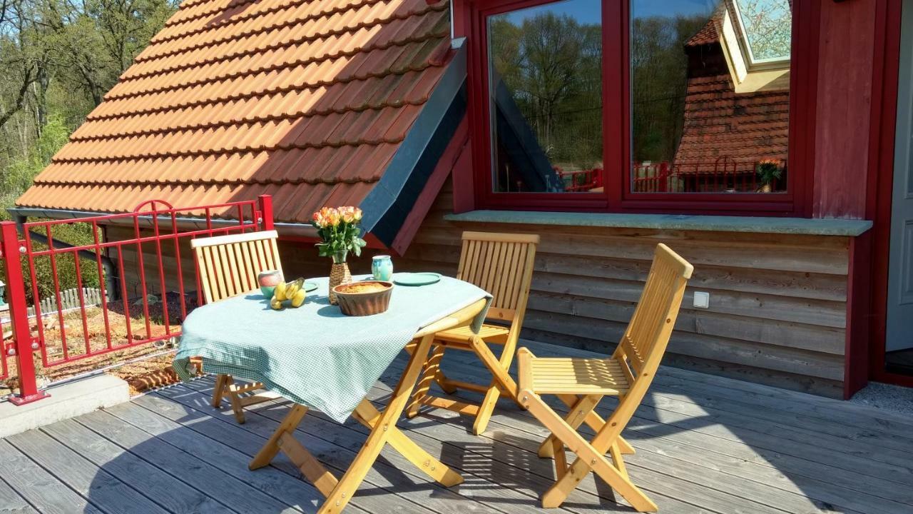 Ziegeleihof Inmitten Von Wiesen Und Waeldern Degenershausen Exterior photo